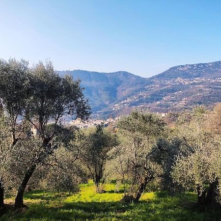 Bas de villa. Côte d'Azur, à 20 kms de Nice Contes  Exterior foto