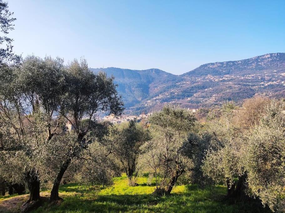 Bas de villa. Côte d'Azur, à 20 kms de Nice Contes  Exterior foto