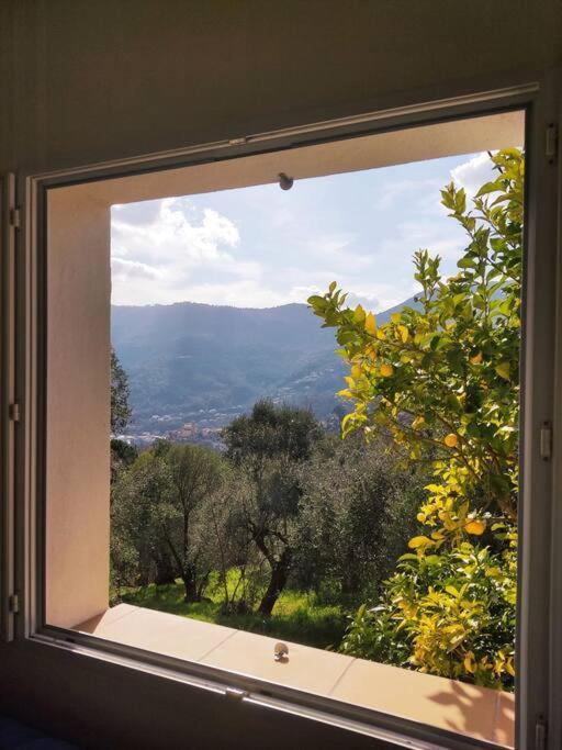 Bas de villa. Côte d'Azur, à 20 kms de Nice Contes  Exterior foto